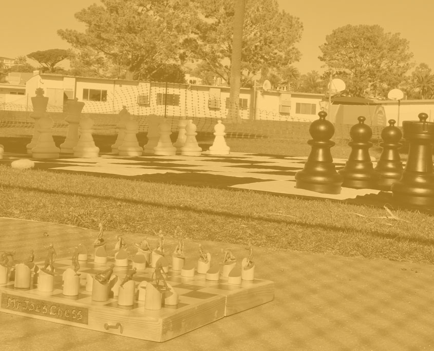 Chess Lessons at charter schools